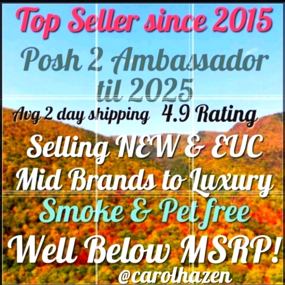 American Eagle Outfitters Military Double Breasted Army Green Victorian Coat - Picture 11 of 12